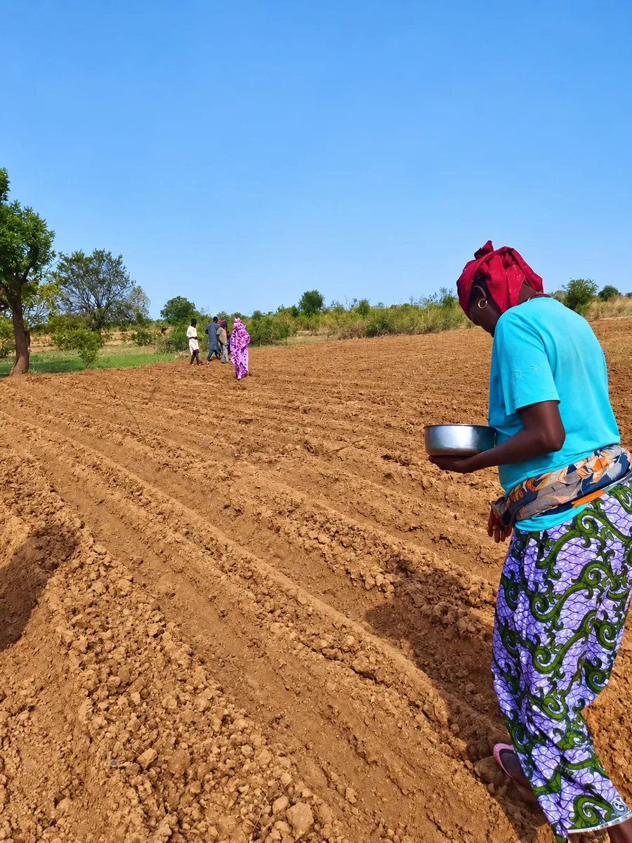 Sowing seed by hand