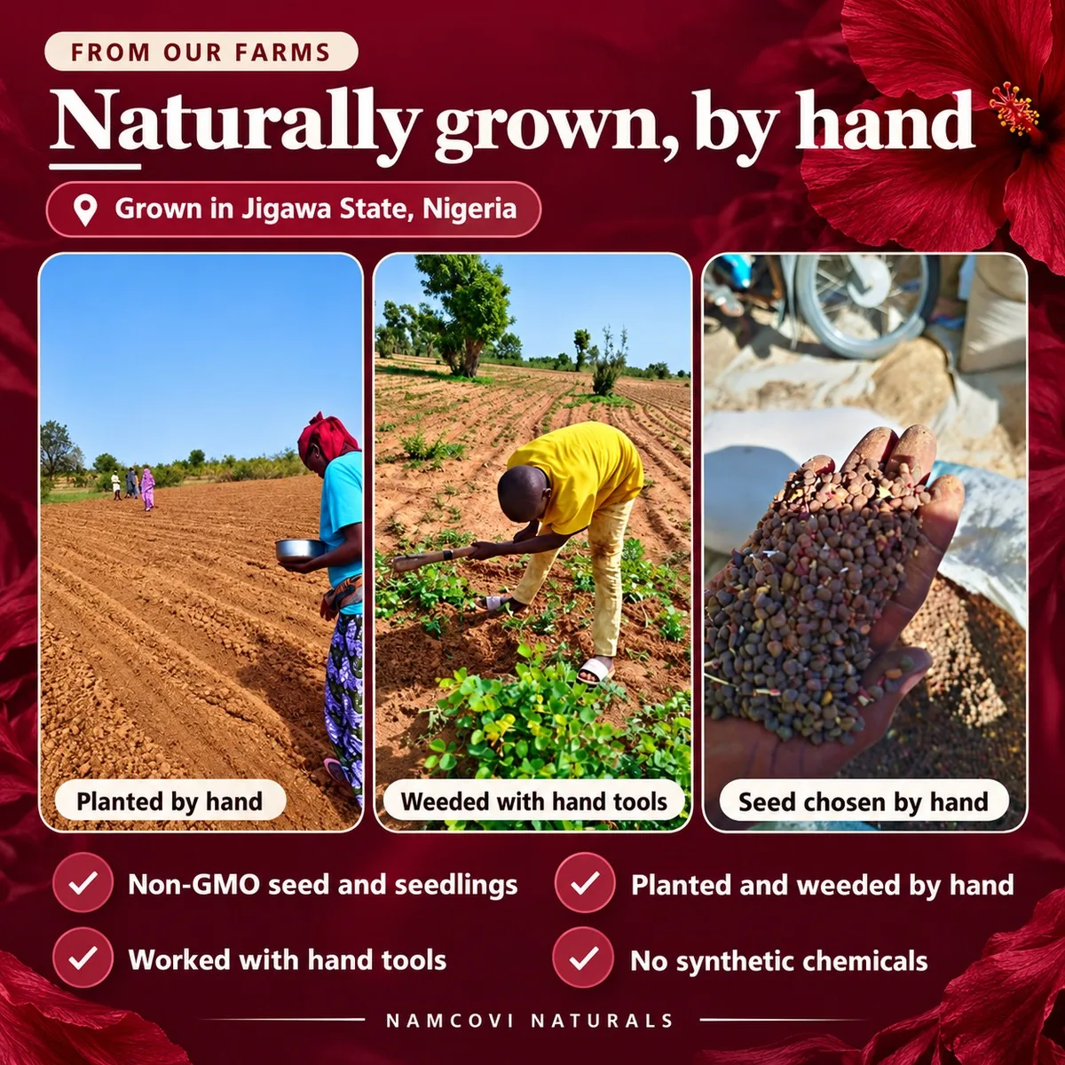 Naturally grown by hand in Jigawa State, Nigeria