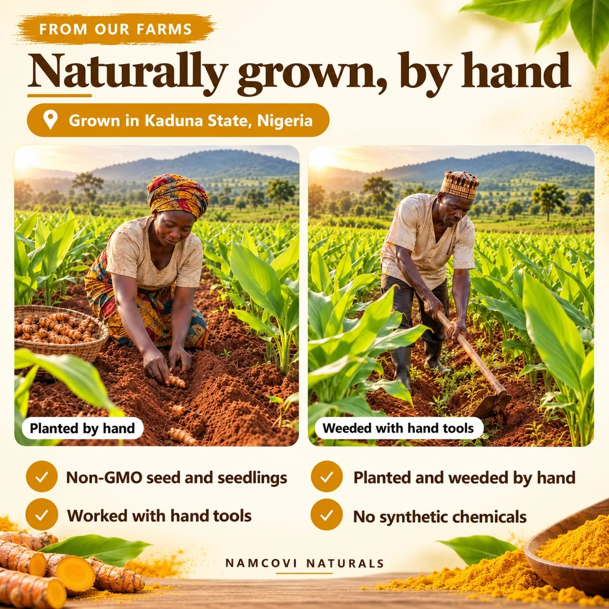 Naturally grown by hand in Kaduna State, Nigeria